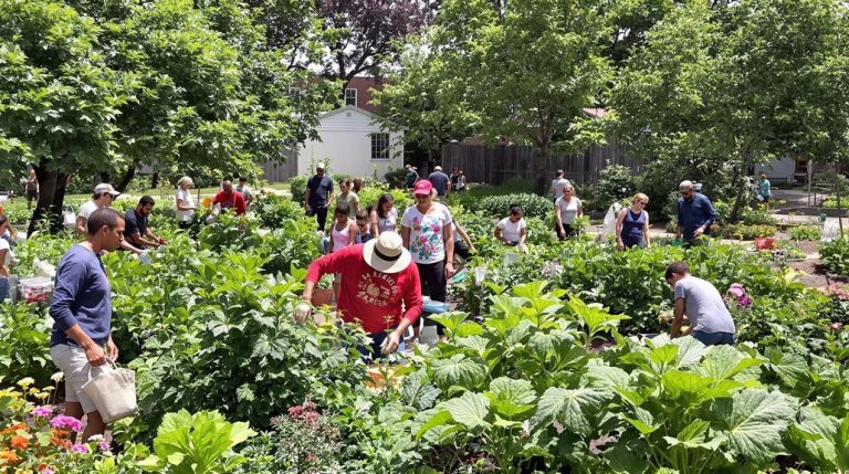 community gardens improve neighborhoods