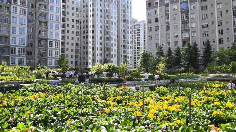 incentivizing urban farming initiatives