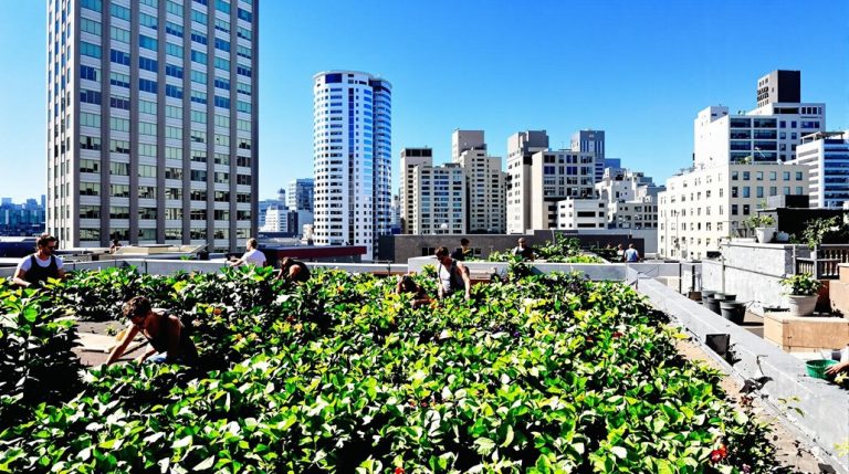 sustainable city food production