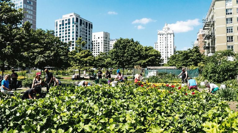 sustainable farming for communities