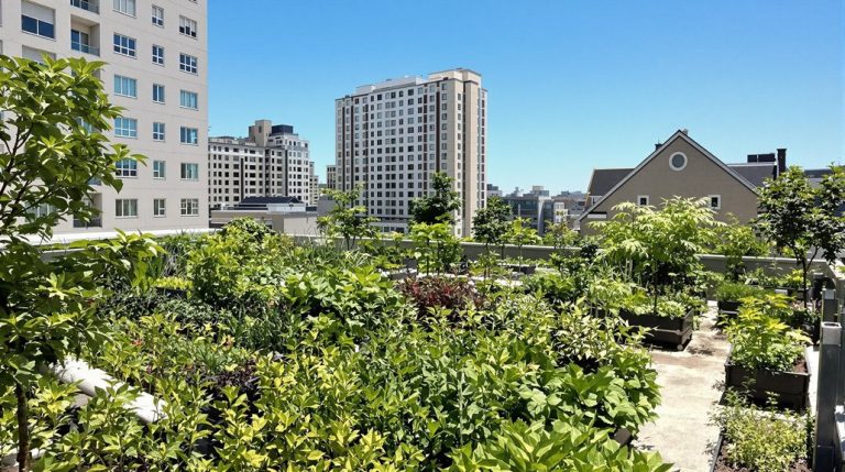 urban agriculture mitigates heat