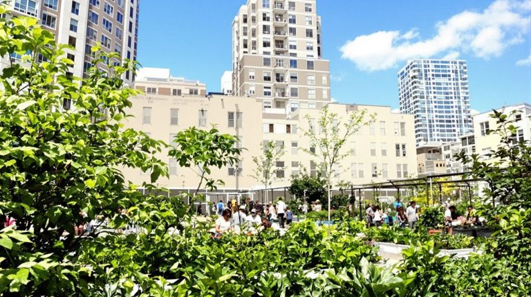 urban farming development program