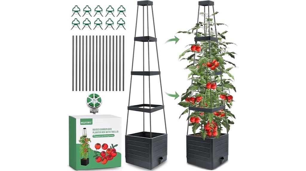 garden bed with trellis